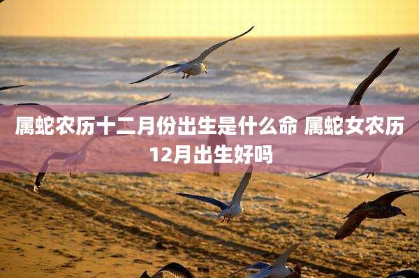 属蛇农历十二月份出生是什么命 属蛇女农历12月出生好吗