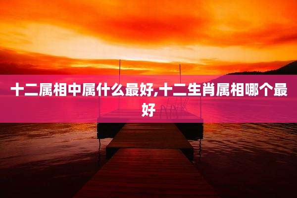 十二属相中属什么最好,十二生肖属相哪个最好