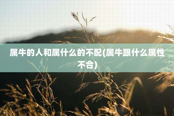属牛的人和属什么的不配(属牛跟什么属性不合)