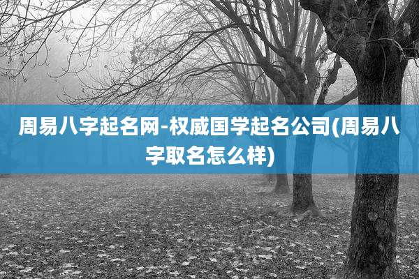 周易八字起名网-权威国学起名公司(周易八字取名怎么样)