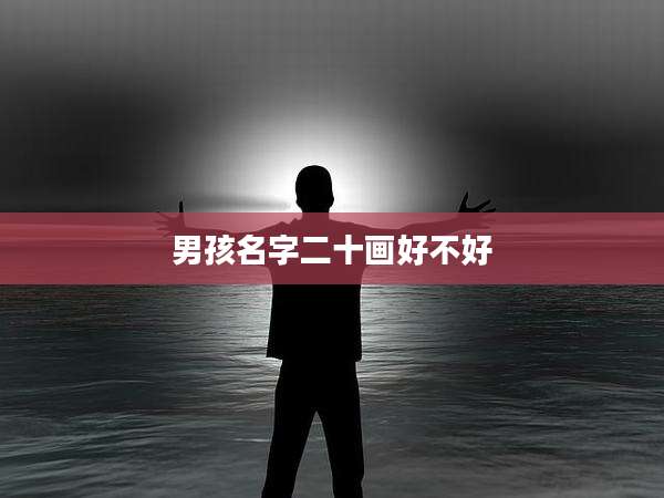 男孩名字二十画好不好