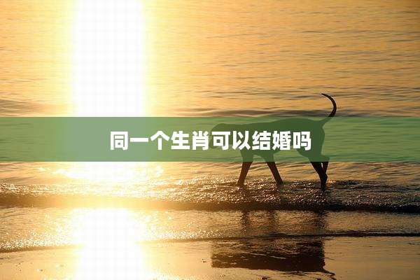 同一个生肖可以结婚吗