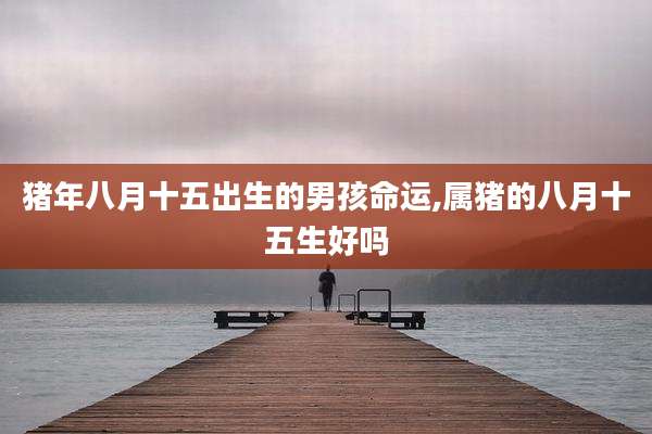 猪年八月十五出生的男孩命运,属猪的八月十五生好吗