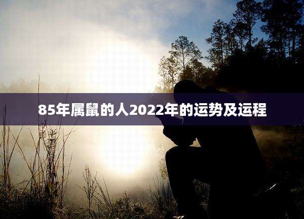 85年属鼠的人2022年的运势及运程