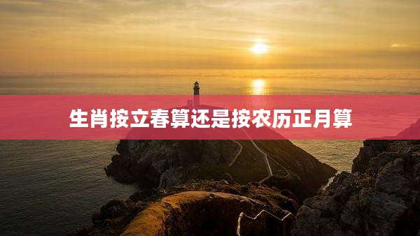 生肖按立春算还是按农历正月算