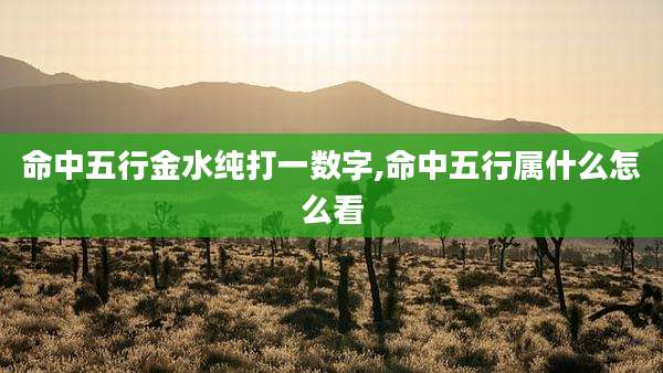 命中五行金水纯打一数字,命中五行属什么怎么看