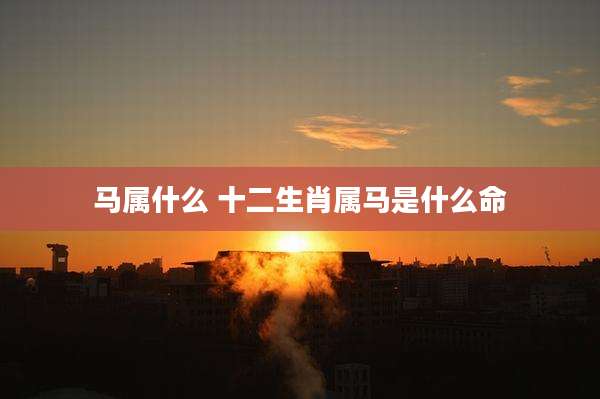 马属什么 十二生肖属马是什么命