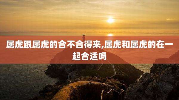 属虎跟属虎的合不合得来,属虎和属虎的在一起合适吗