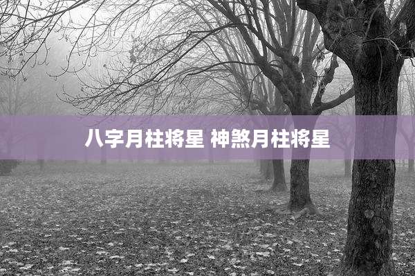 八字月柱将星 神煞月柱将星