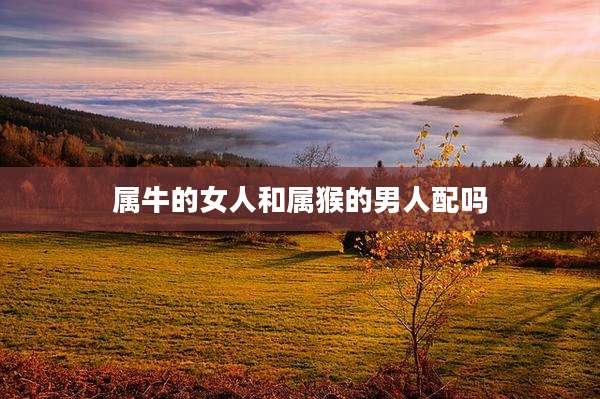 属牛的女人和属猴的男人配吗