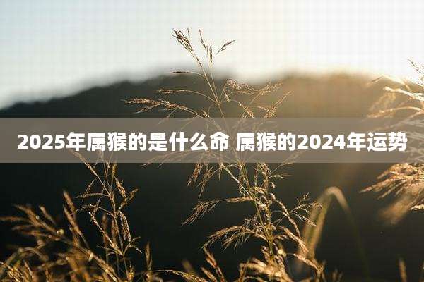 2025年属猴的是什么命 属猴的2024年运势