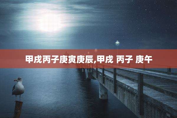 甲戌丙子庚寅庚辰,甲戌 丙子 庚午