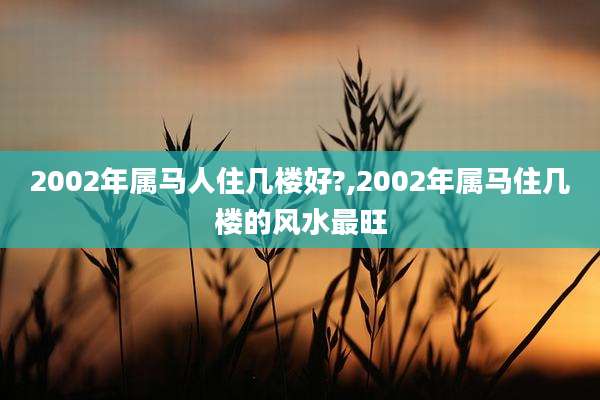 2002年属马人住几楼好?,2002年属马住几楼的风水最旺