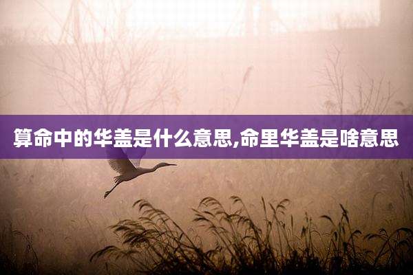 算命中的华盖是什么意思,命里华盖是啥意思