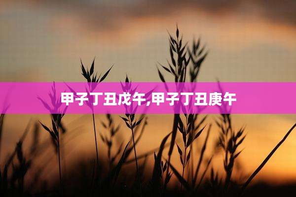 甲子丁丑戊午,甲子丁丑庚午