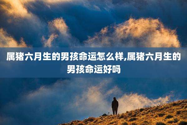 属猪六月生的男孩命运怎么样,属猪六月生的男孩命运好吗