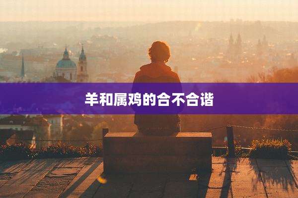 羊和属鸡的合不合谐