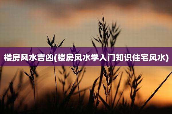 楼房风水吉凶(楼房风水学入门知识住宅风水)
