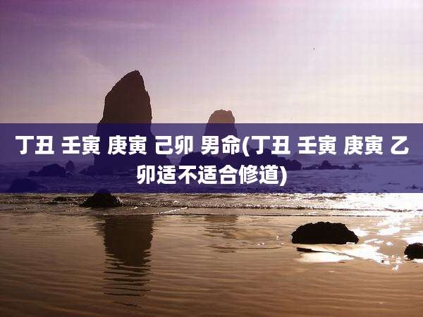 丁丑 壬寅 庚寅 己卯 男命(丁丑 壬寅 庚寅 乙卯适不适合修道)