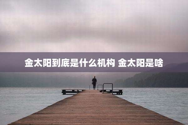 金太阳到底是什么机构 金太阳是啥