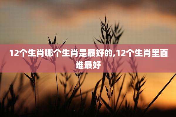 12个生肖哪个生肖是最好的,12个生肖里面谁最好