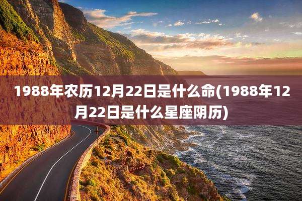 1988年农历12月22日是什么命(1988年12月22日是什么星座阴历)