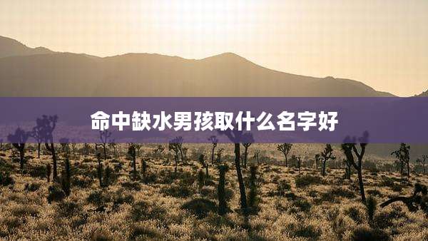 命中缺水男孩取什么名字好