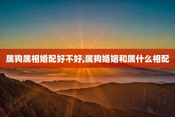 属狗属相婚配好不好,属狗婚姻和属什么相配