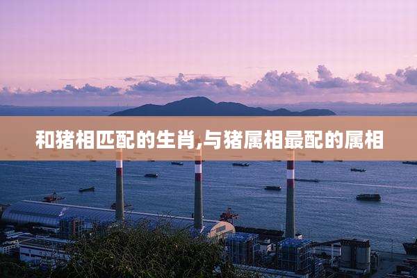 和猪相匹配的生肖,与猪属相最配的属相