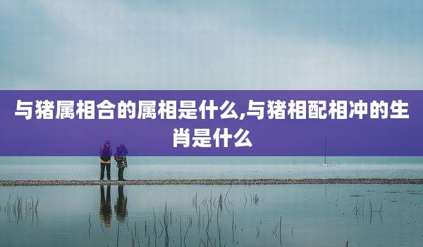 与猪属相合的属相是什么,与猪相配相冲的生肖是什么