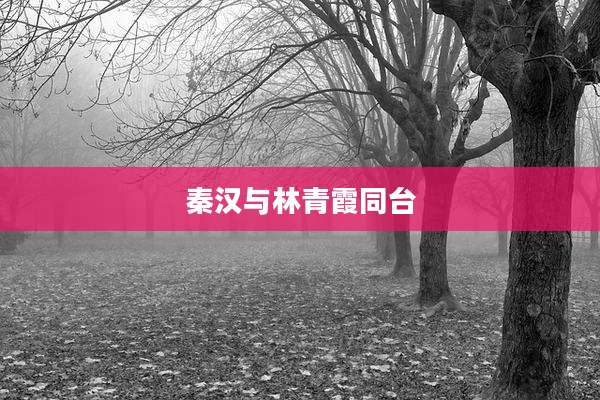 秦汉与林青霞同台