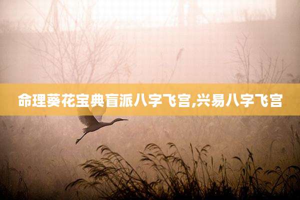 命理葵花宝典盲派八字飞宫,兴易八字飞宫