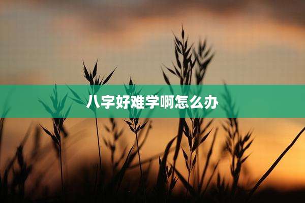 八字好难学啊怎么办