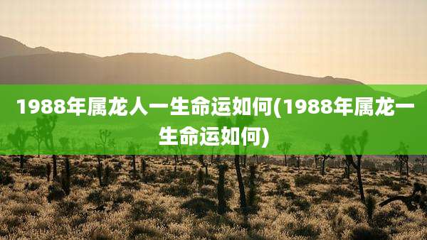 1988年属龙人一生命运如何(1988年属龙一生命运如何)
