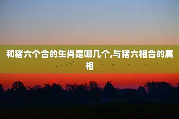 和猪六个合的生肖是哪几个,与猪六相合的属相