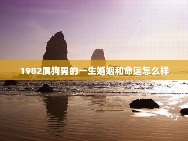 1982属狗男的一生婚姻和命运怎么样