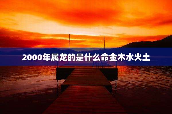 2000年属龙的是什么命金木水火土