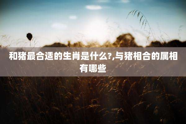 和猪最合适的生肖是什么?,与猪相合的属相有哪些