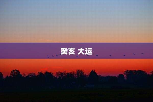 癸亥 大运