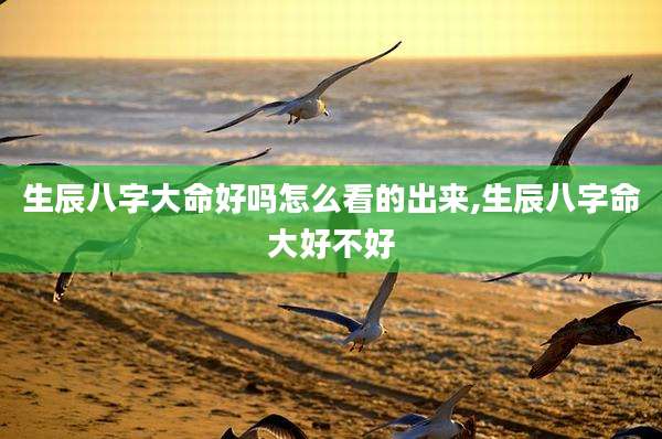 生辰八字大命好吗怎么看的出来,生辰八字命大好不好