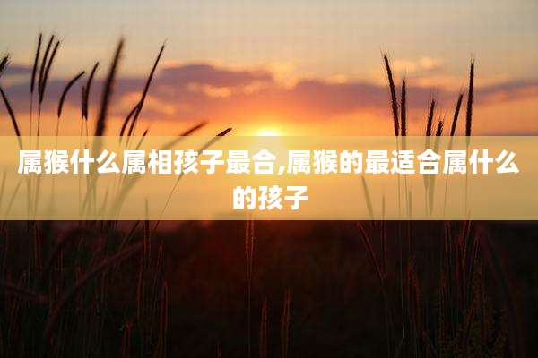 属猴什么属相孩子最合,属猴的最适合属什么的孩子