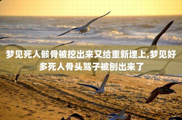 梦见死人骸骨被挖出来又给重新埋上,梦见好多死人骨头驾子被刨出来了