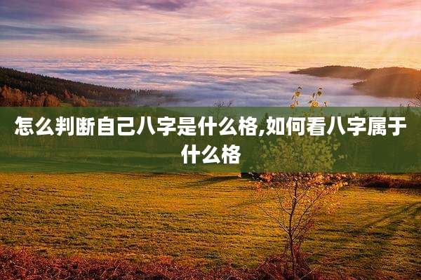 怎么判断自己八字是什么格,如何看八字属于什么格