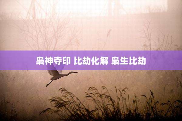 枭神夺印 比劫化解 枭生比劫