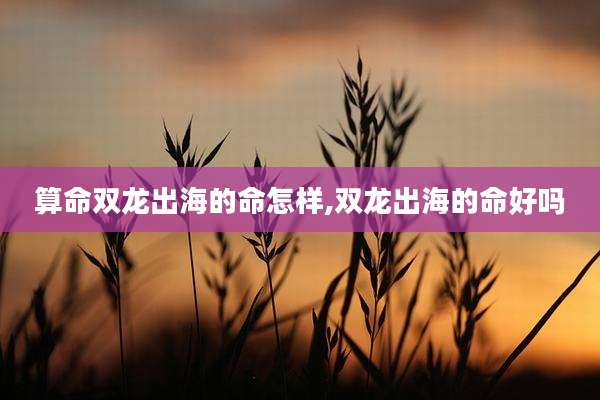 算命双龙出海的命怎样,双龙出海的命好吗