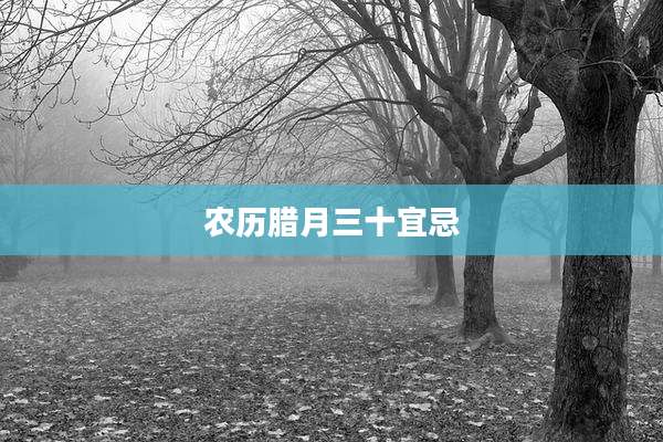 农历腊月三十宜忌