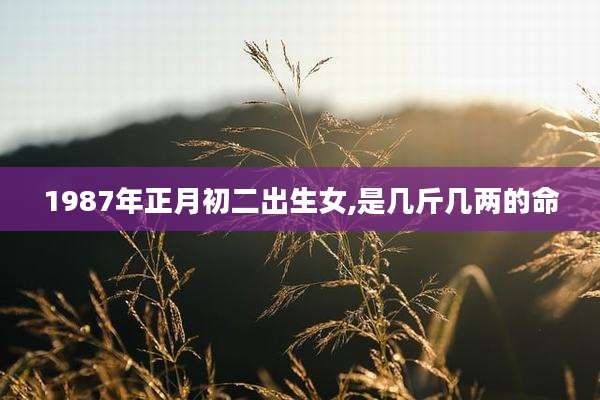 1987年正月初二出生女,是几斤几两的命