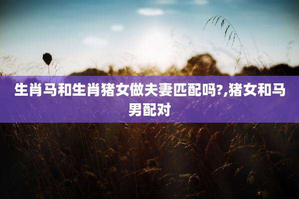 生肖马和生肖猪女做夫妻匹配吗?,猪女和马男配对