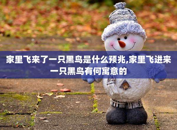 家里飞来了一只黑鸟是什么预兆,家里飞进来一只黑鸟有何寓意的