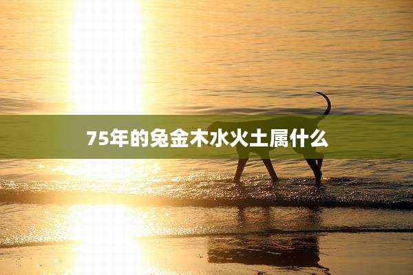 75年的兔金木水火土属什么